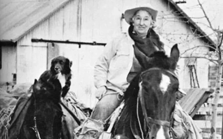 Annie Wilkins: The Last Great American Rider