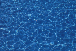 What Are the Symptoms of Algae Poisoning?