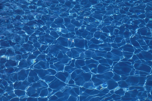 What Are the Symptoms of Algae Poisoning?