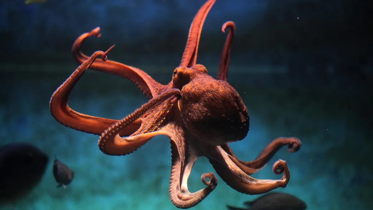 Octopus Symbolism: Mysteries of the Ocean’s Shape-Shifter