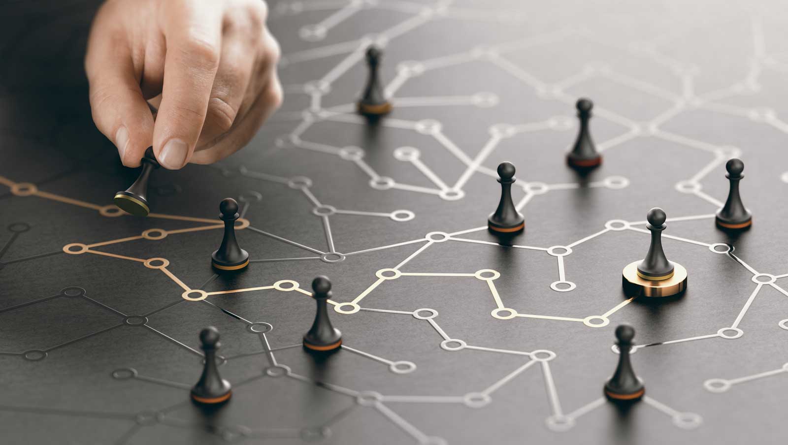 Strategic Options: Pathways to Growth, Adaptation, and Long-Term Success