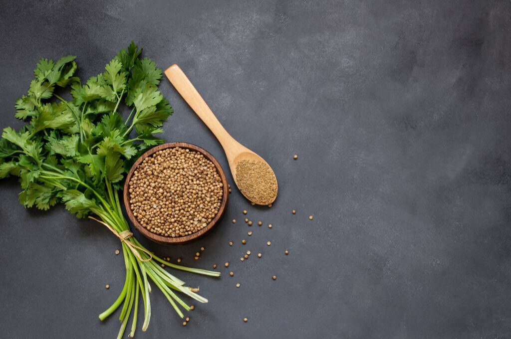 Cilantro Seeds: A Complete Guide to Growing, Using, and Understanding This Essential Herb
