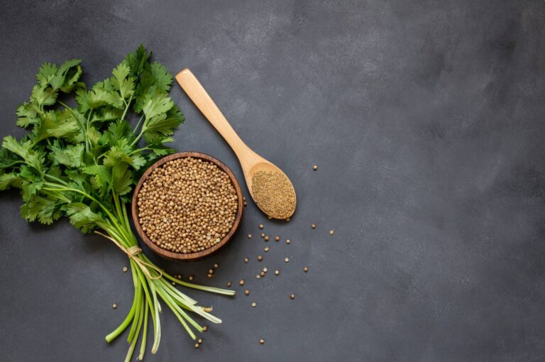 Cilantro Seeds: A Complete Guide to Growing, Using, and Understanding This Essential Herb