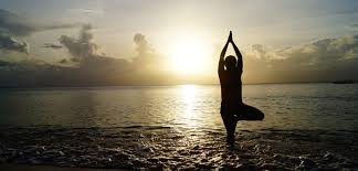 Discipline Yoga: The Art of Strength, Stillness, and Self-Mastery