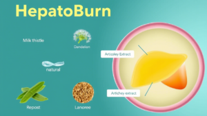 HepatoBurn Reviews: Does This Liver Support Supplement Really Help With Weight Loss?