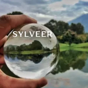 Sylveer: Exploring the Next Frontier of Digital Innovation