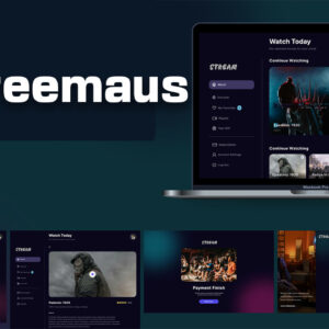 Streemaus: The Future of Smart Digital Streaming