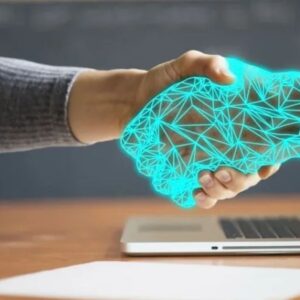 Porpenpelloz: The Emerging Digital Creativity Phenomenon